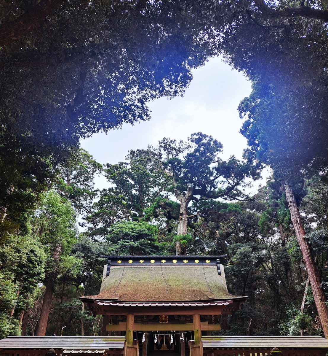 しゃく🔥 tweet media