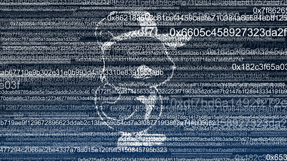 Yucky Ducks tweet media