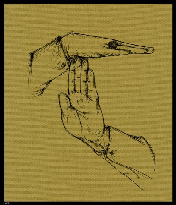 💛🖤- MALEK tweet media