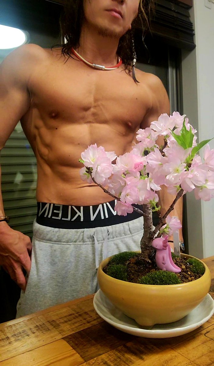 おじ筋ちゃん🌴OJK🌴 tweet media