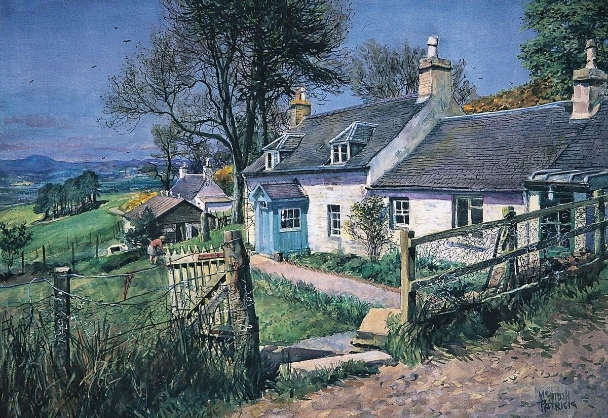 helen warlow tweet media