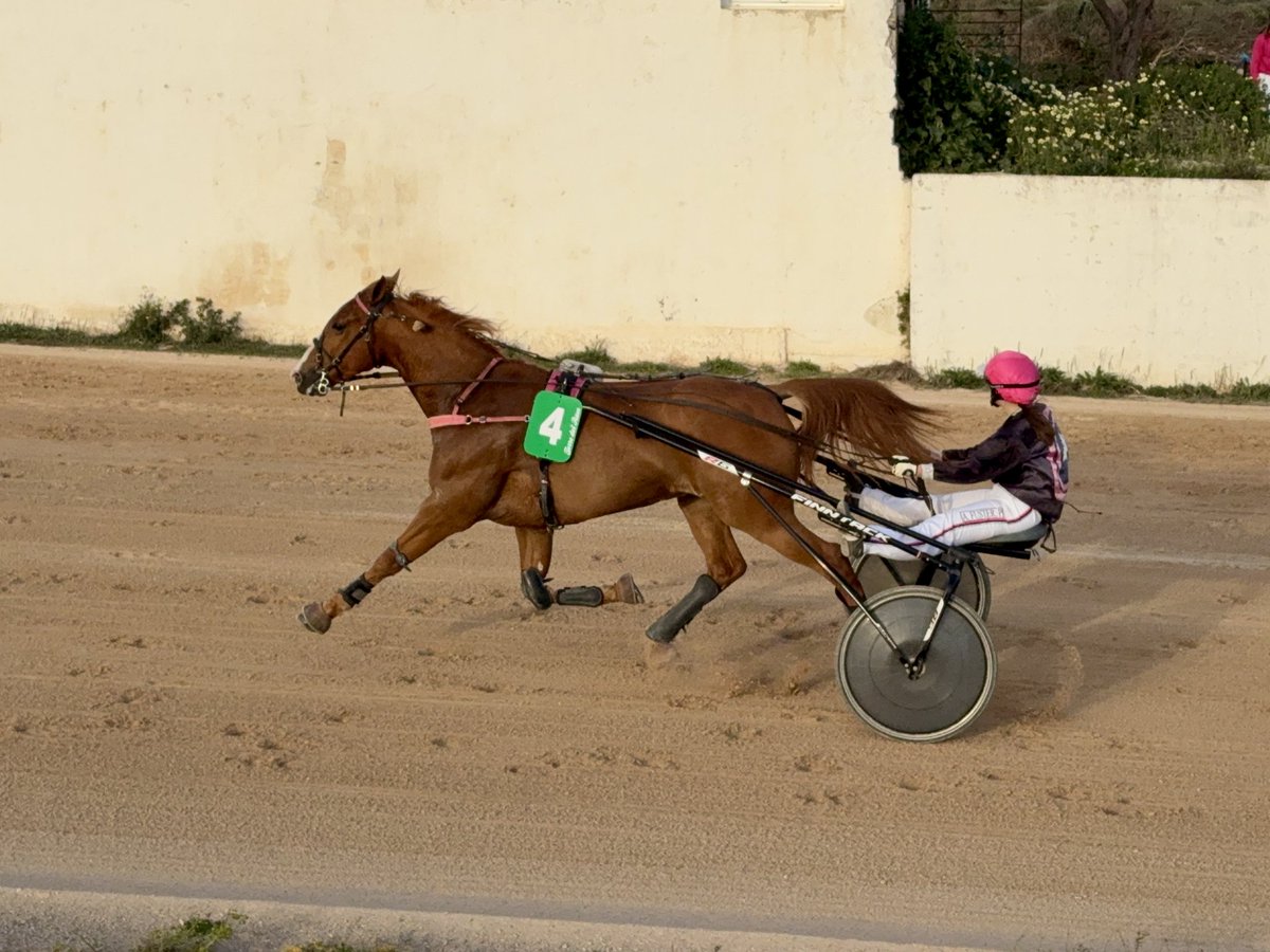 FECT ©️ tweet media