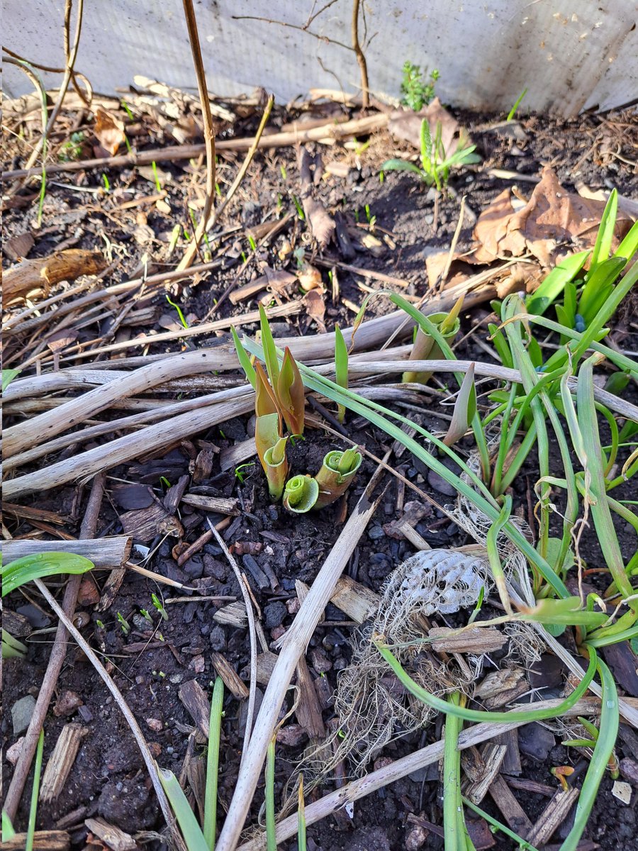 Maritha Andersen tweet media