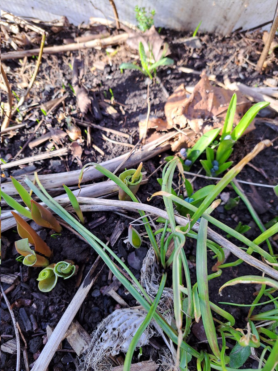 Maritha Andersen tweet media