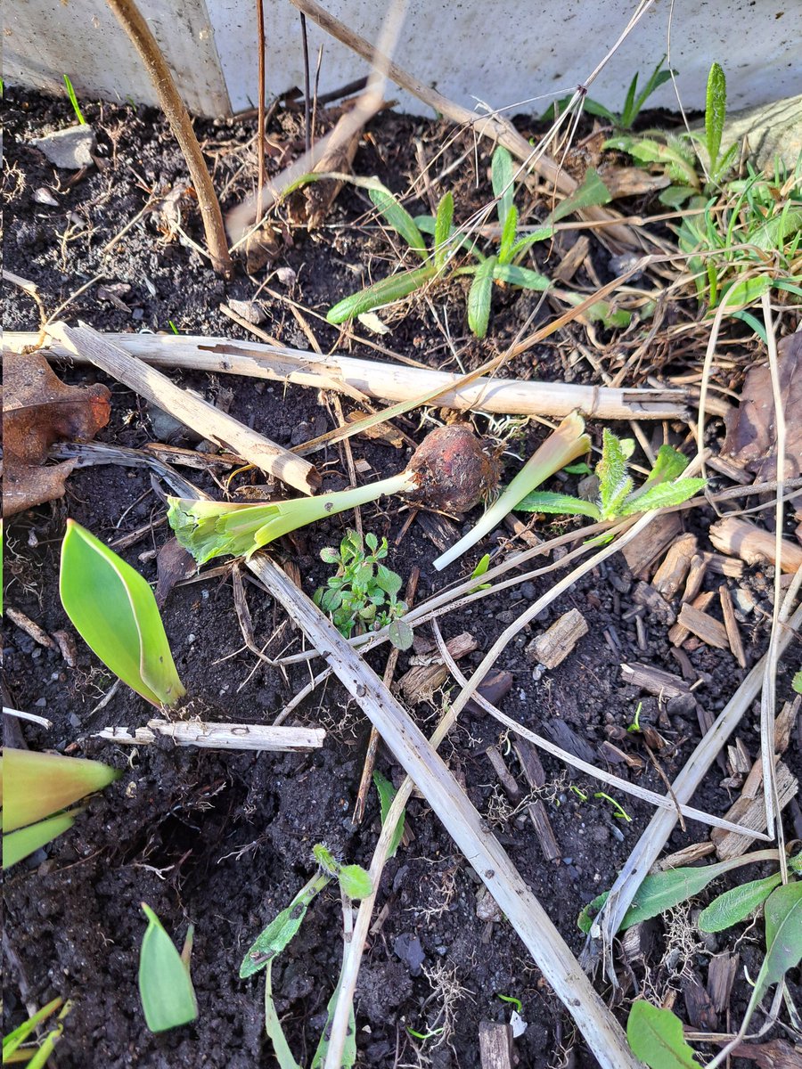 Maritha Andersen tweet media