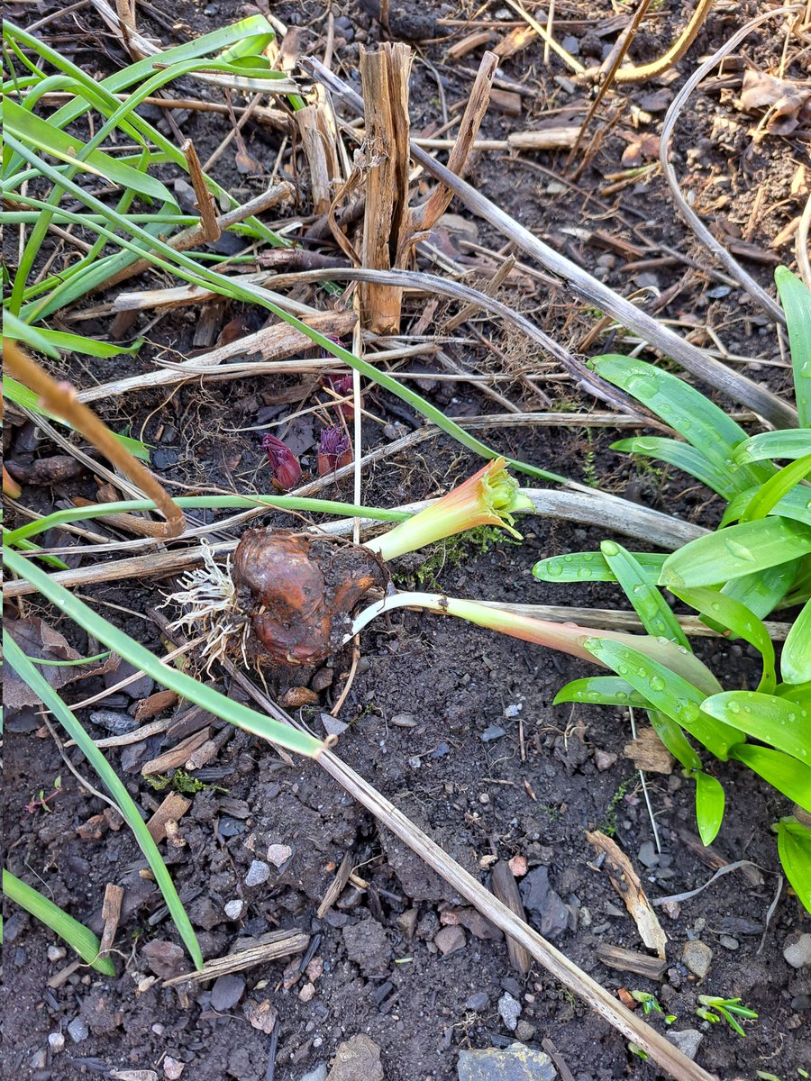 Maritha Andersen tweet media