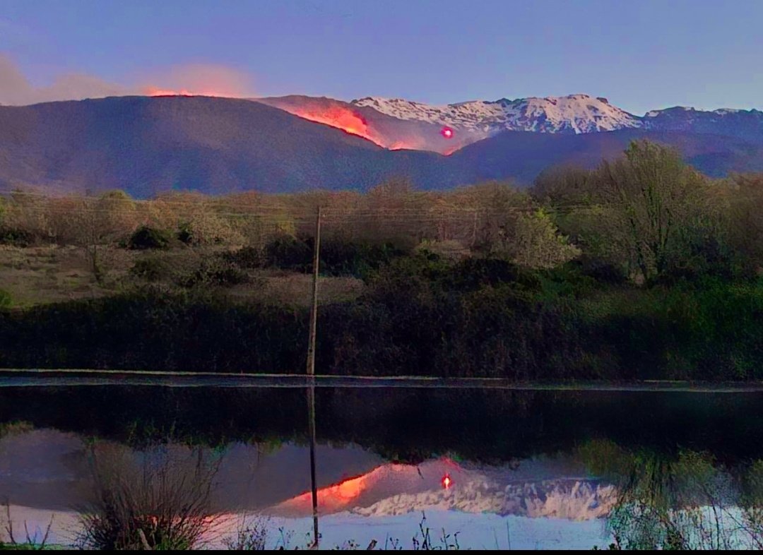 Luis Berbiela tweet media