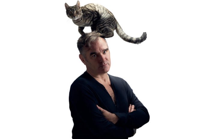 KOLONI GIGS tweet media