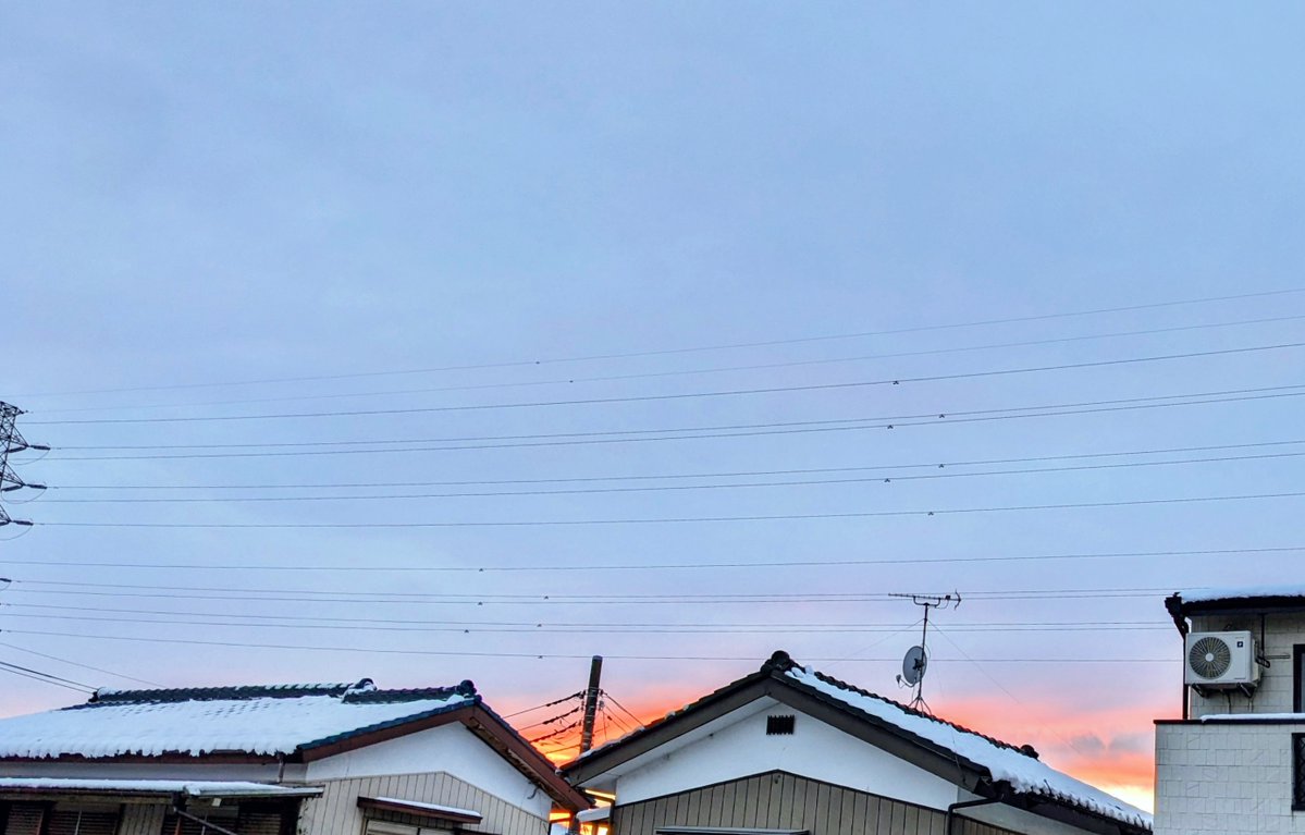 まるねこ🐱 tweet media