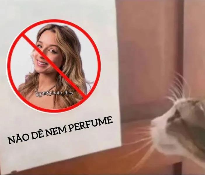 Glenda Rodrigues tweet media