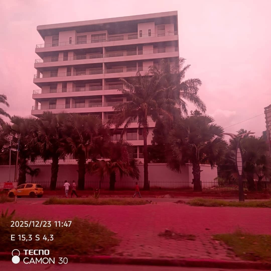 GAEL JACKSON MUTOMBO👊 tweet media