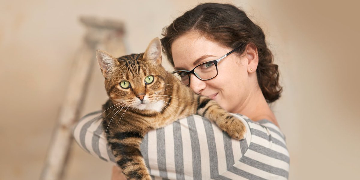 Tio Felino (Leo) tweet media