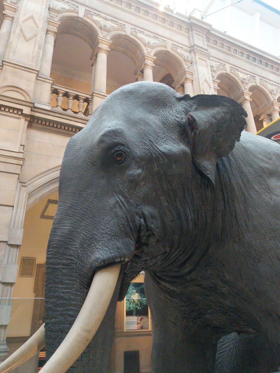 CenturyToad tweet media