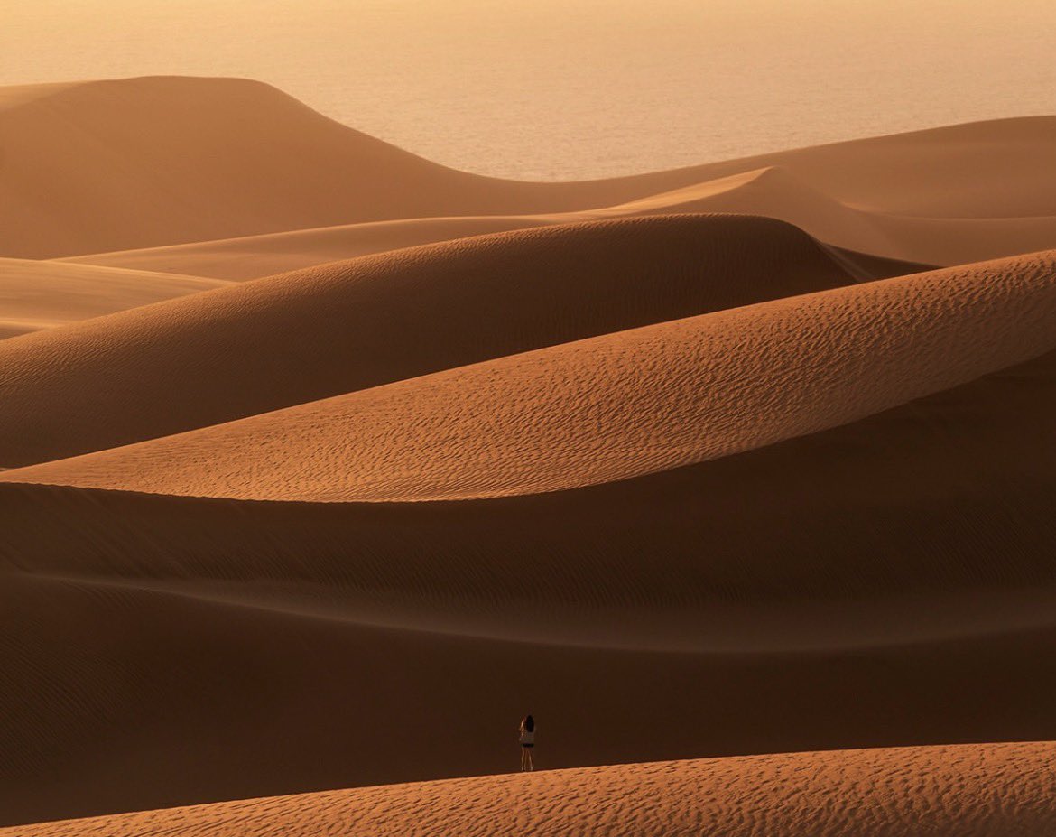 Imanol Zuaznabar tweet media