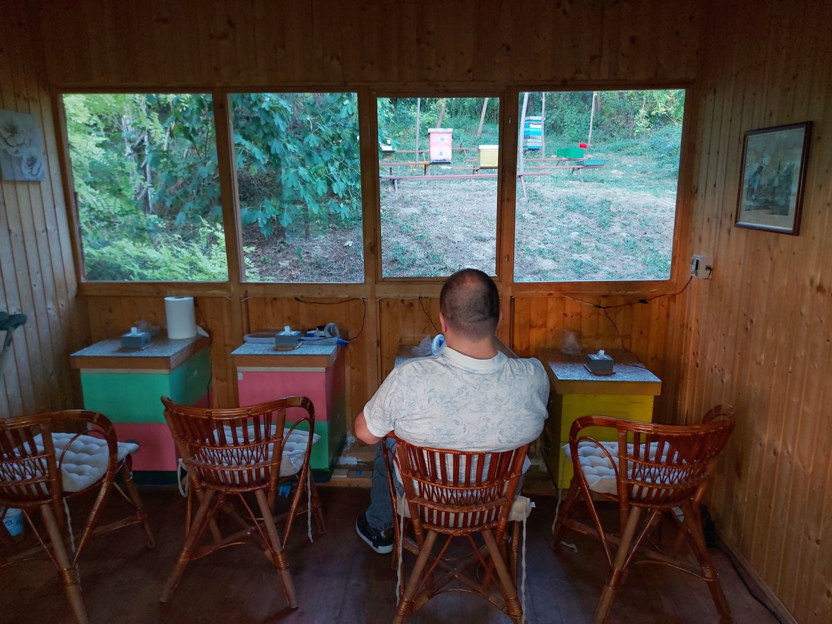 HiveBits tweet media