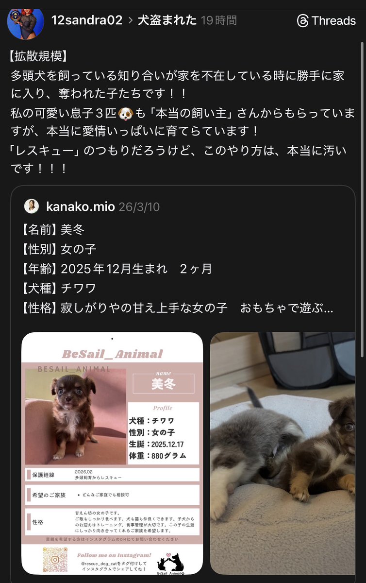 きゅうり鯖之介 tweet media