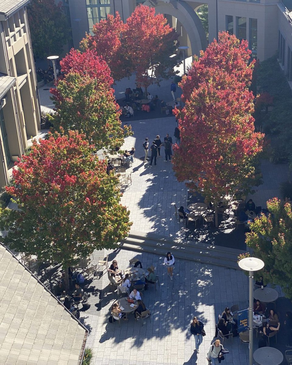 LCI_LA's tweet photo. Every block deserves a courtyard moment! πͺ΄β²οΈ
#urbancity #opencourtyards #walkablecommunities #losangelscourtyard https://t.co/SaiZMPTWci