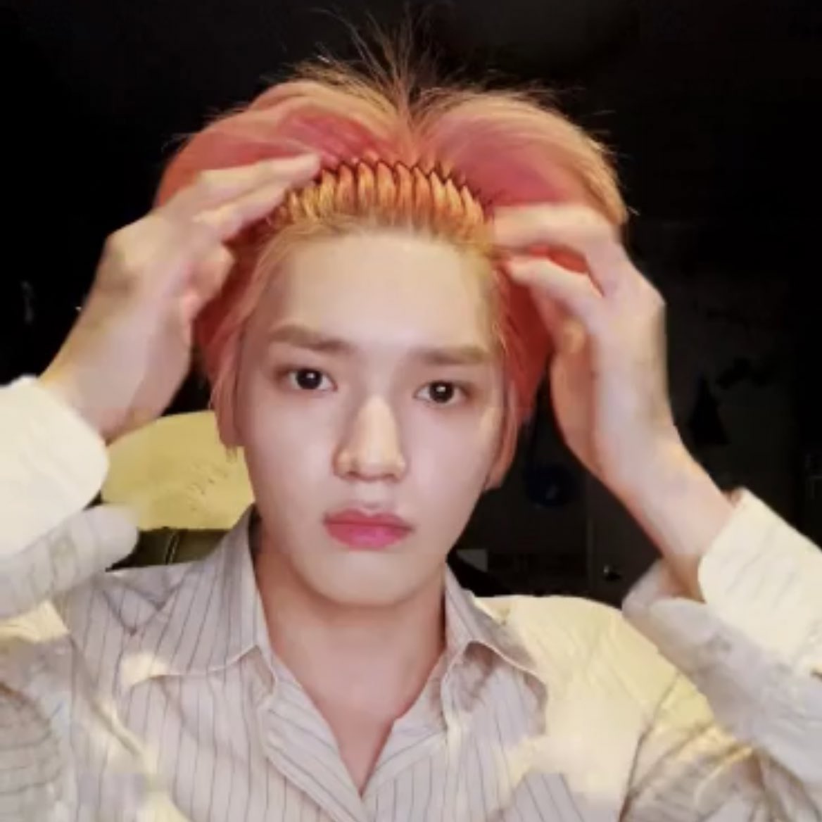 티즐 tweet media