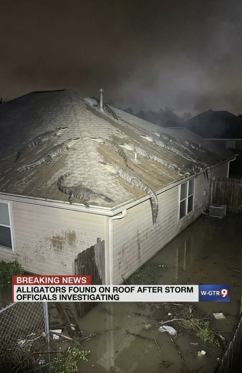 Mike Bales 🫡🇺🇸 tweet media