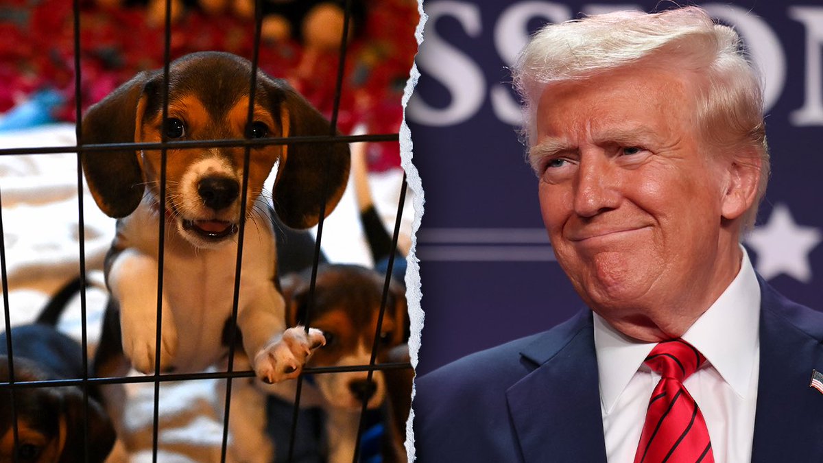 Emilyaustin's tweet photo. Donald Trump BANS inhumane animal testing, protecting animals from literal torture.

Give it 24 hours before Democrats explain why this is actually a bad thing and we need to start hurting animals again 👍🏼 https://t.co/9WvWtXV1ab