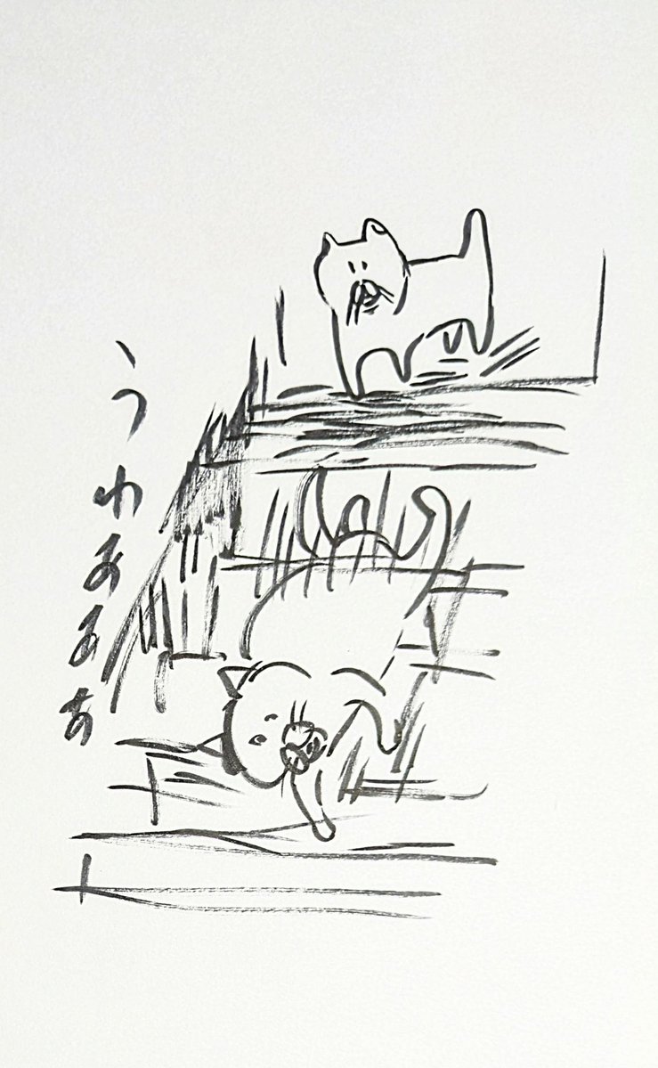 ミヨシ tweet media