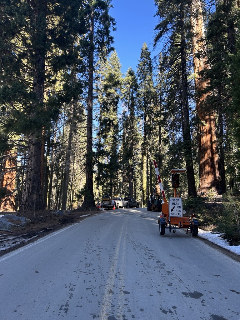 Sequoia & Kings Cyn tweet media