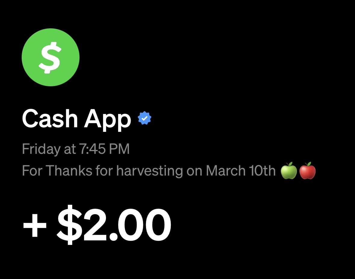 Stephen Chow tweet media