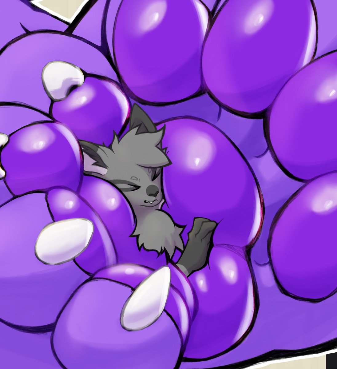 Vanil the cat🐈🇨🇦 tweet media