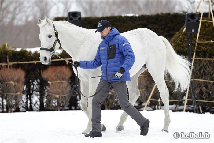 競馬ラボ tweet media