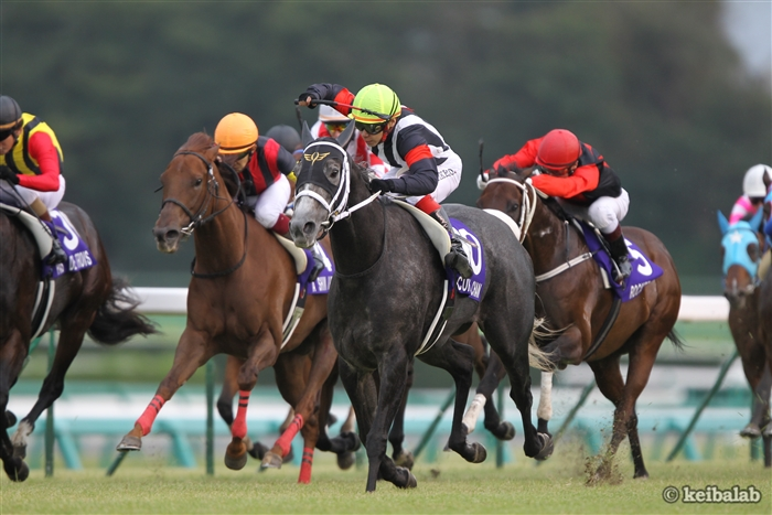 競馬ラボ tweet media
