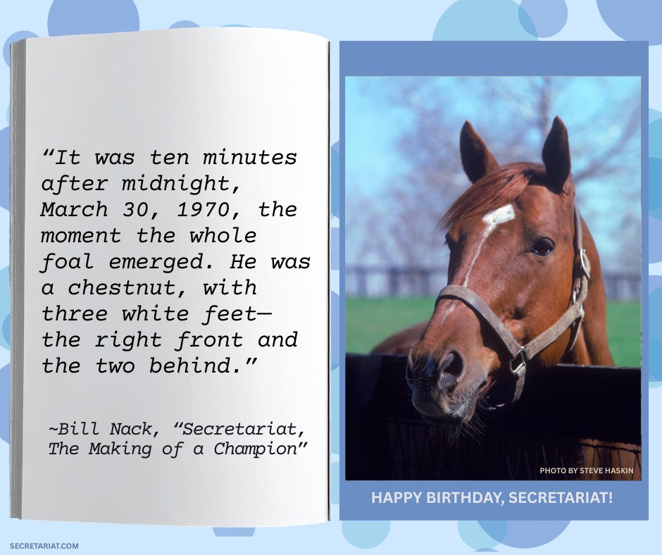 Secretariat tweet media