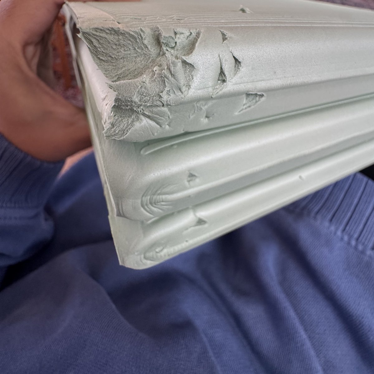 beanie 🪴 tweet media