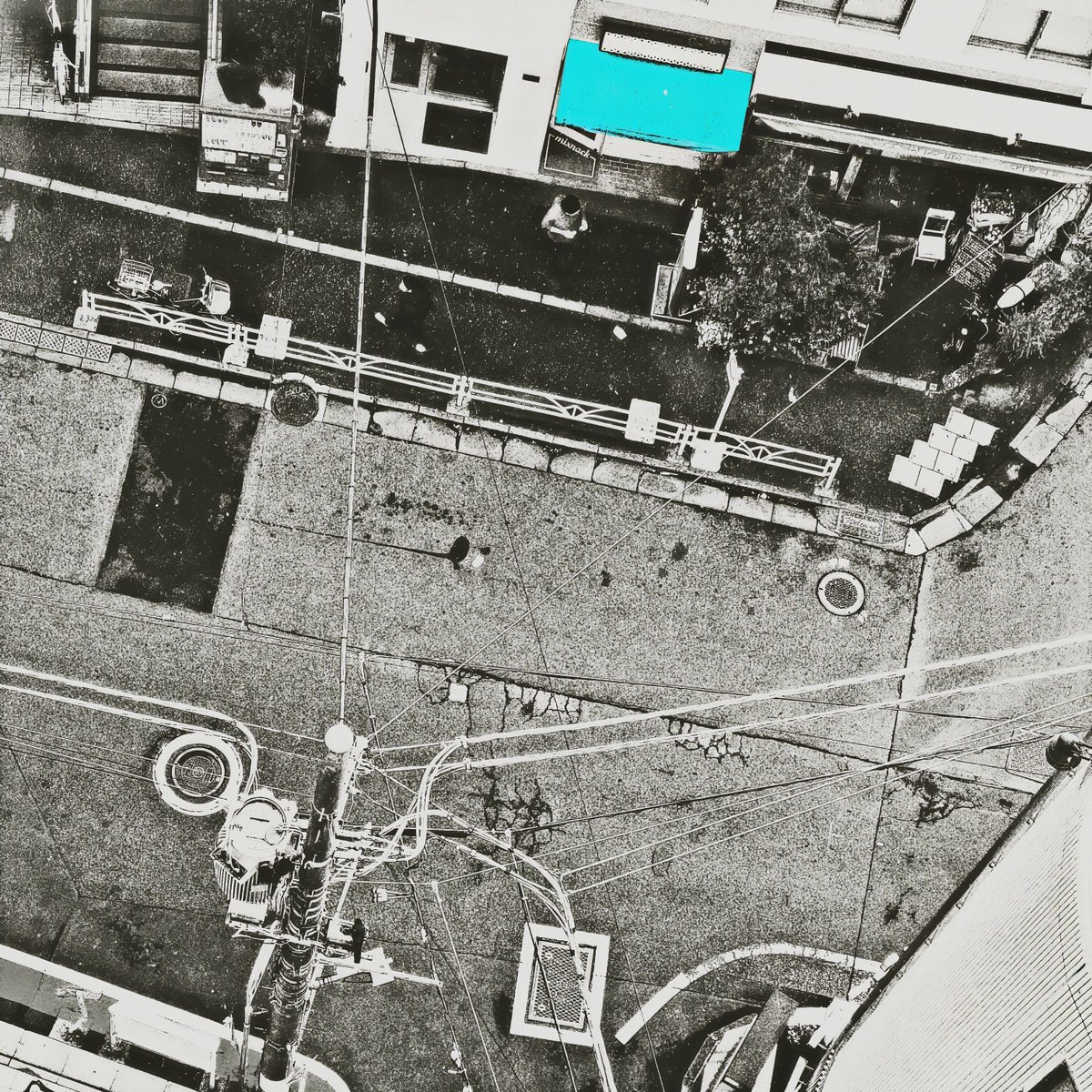 月刊PAM tweet media