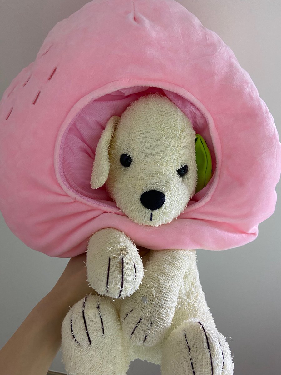 N년 전 오늘의 료 tweet media