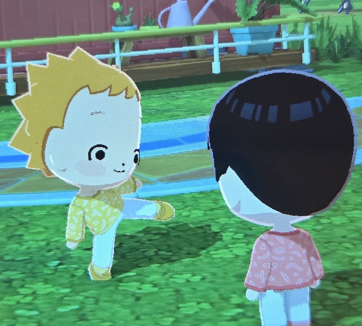 개똥이 tweet media