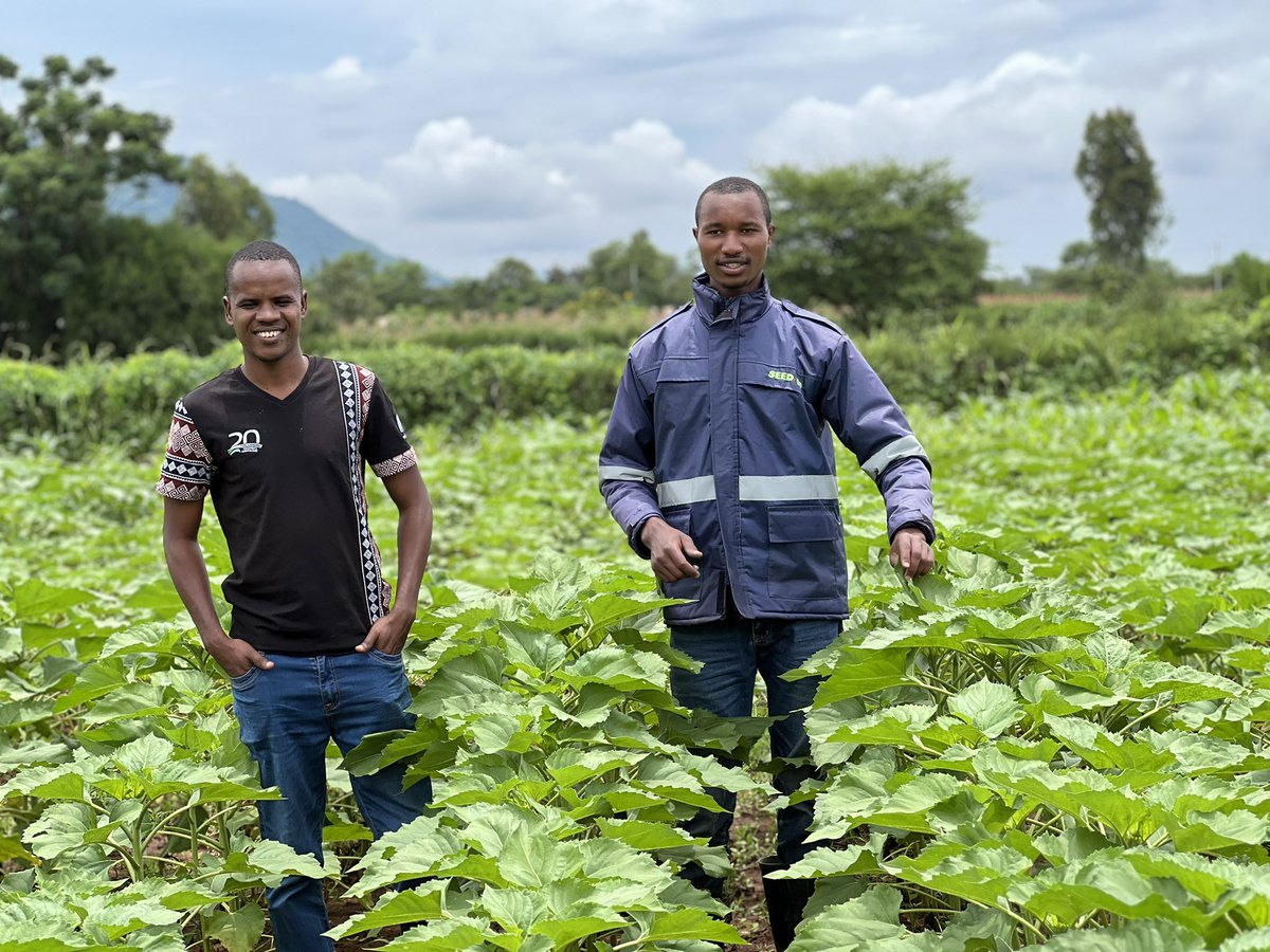 Bwanashamba wa taifa 🇹🇿 tweet media