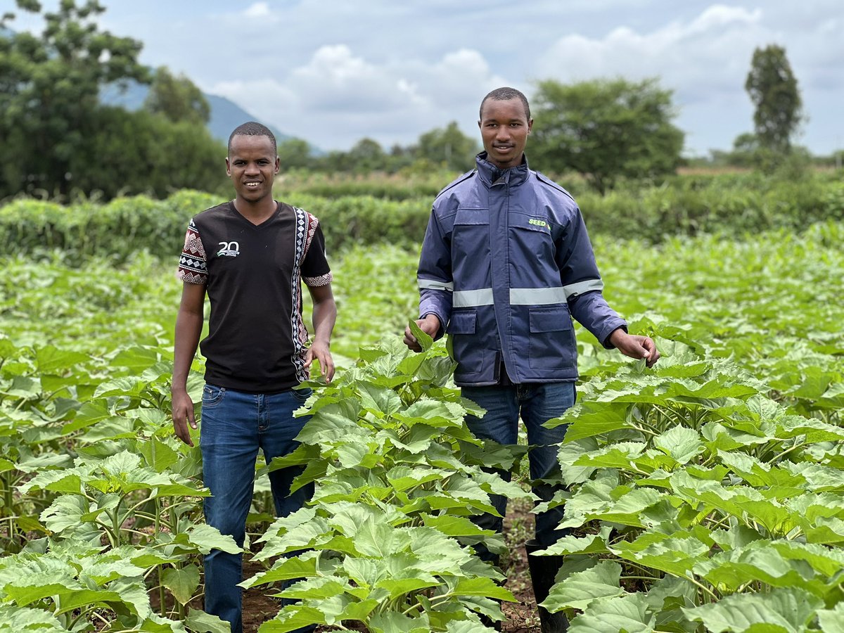 Bwanashamba wa taifa 🇹🇿 tweet media