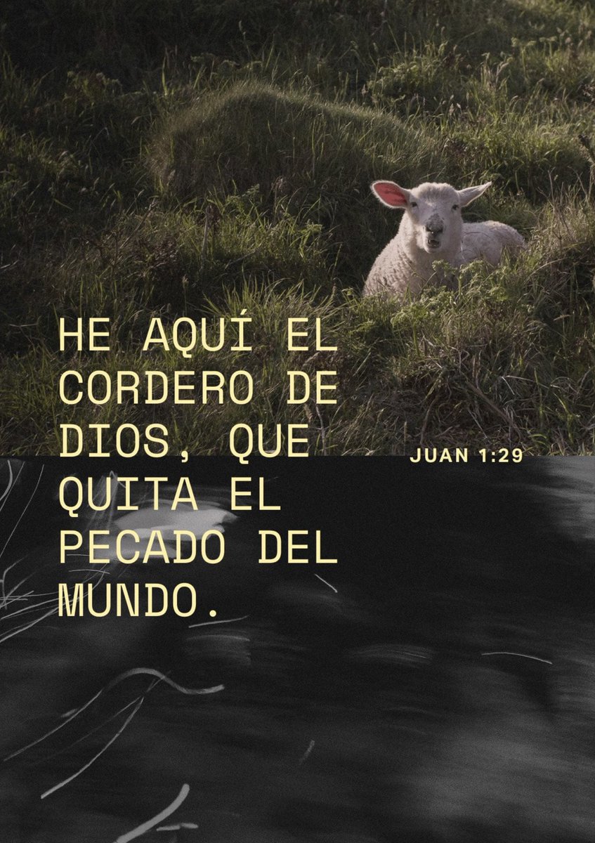 Gerardo Soto tweet media