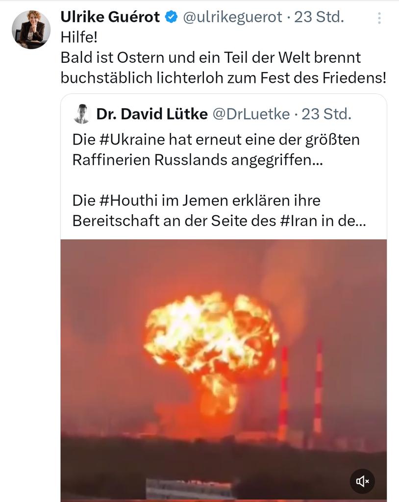 Heimat Freiheit 🇪🇺🇩🇪🇺🇦 tweet media