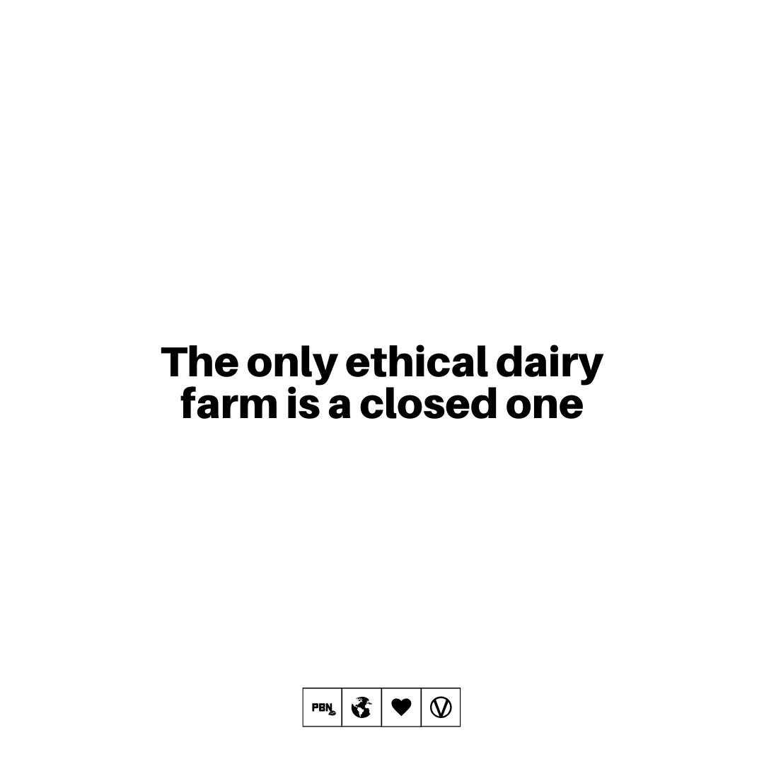 Plant Based News tweet media