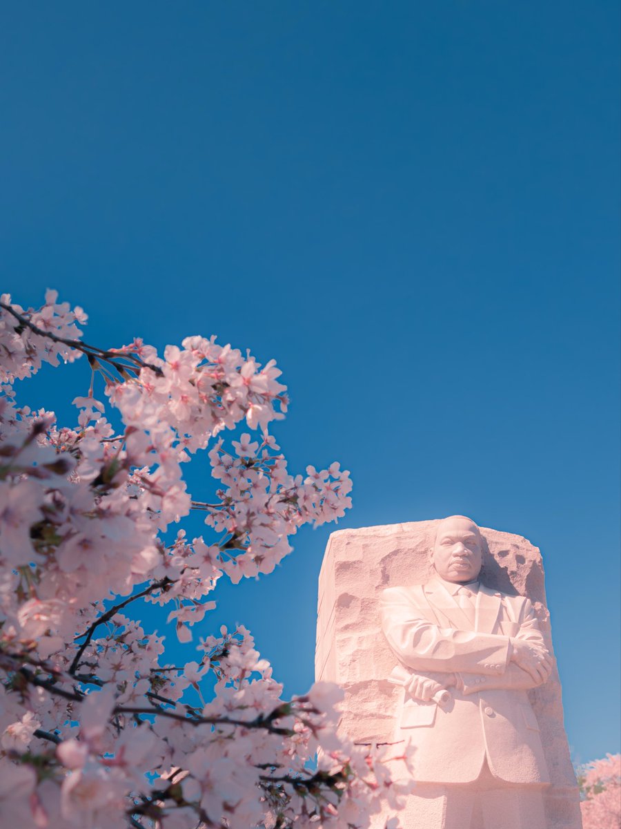 joshmeitz tweet media