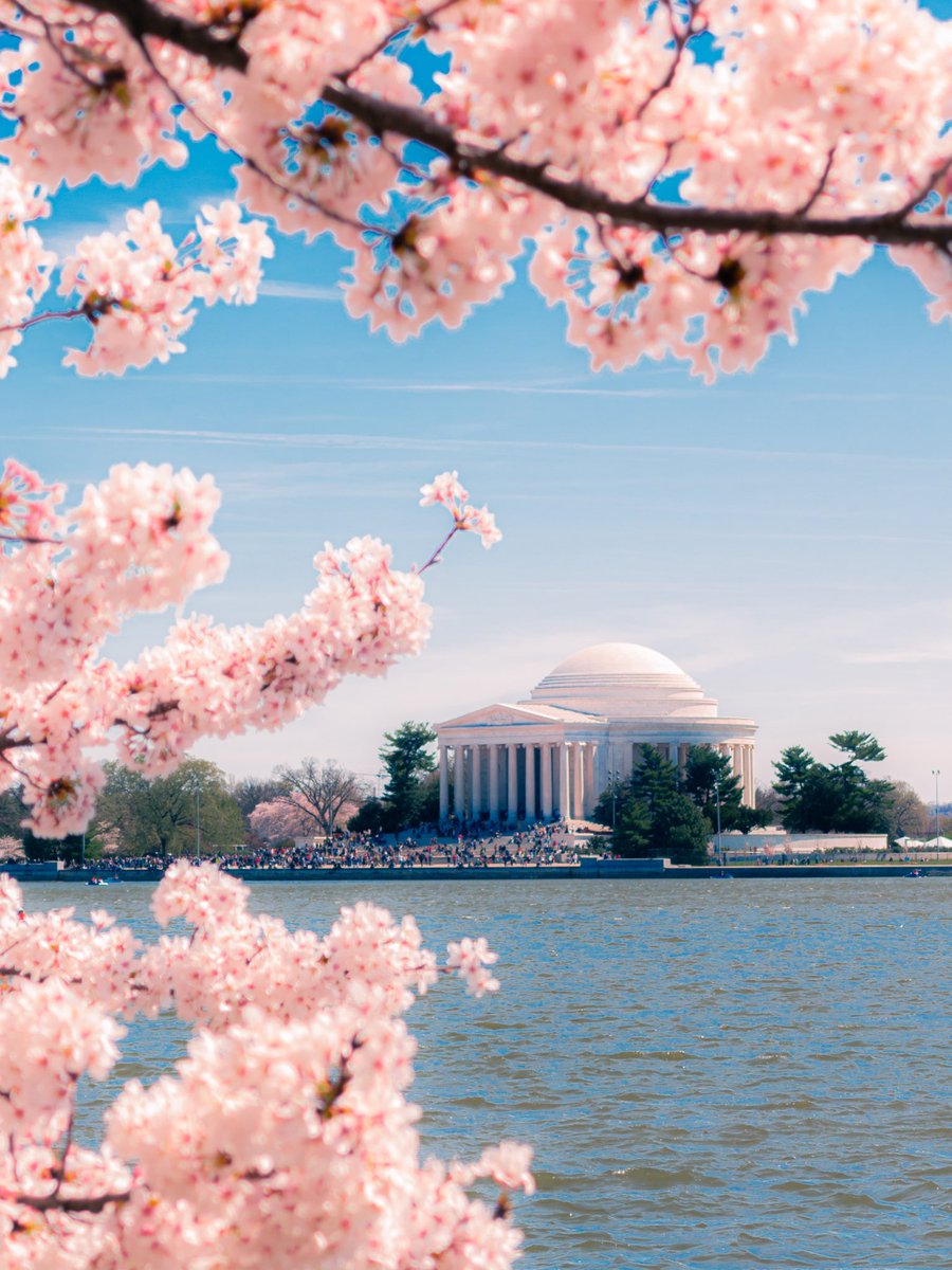 joshmeitz tweet media