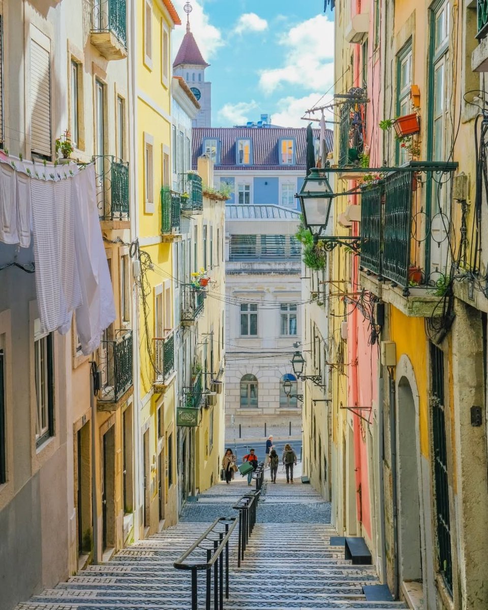 VisitLisboa tweet media