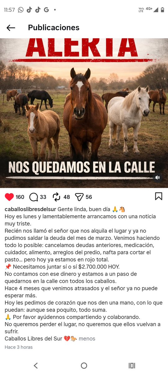 Chano_177 tweet media