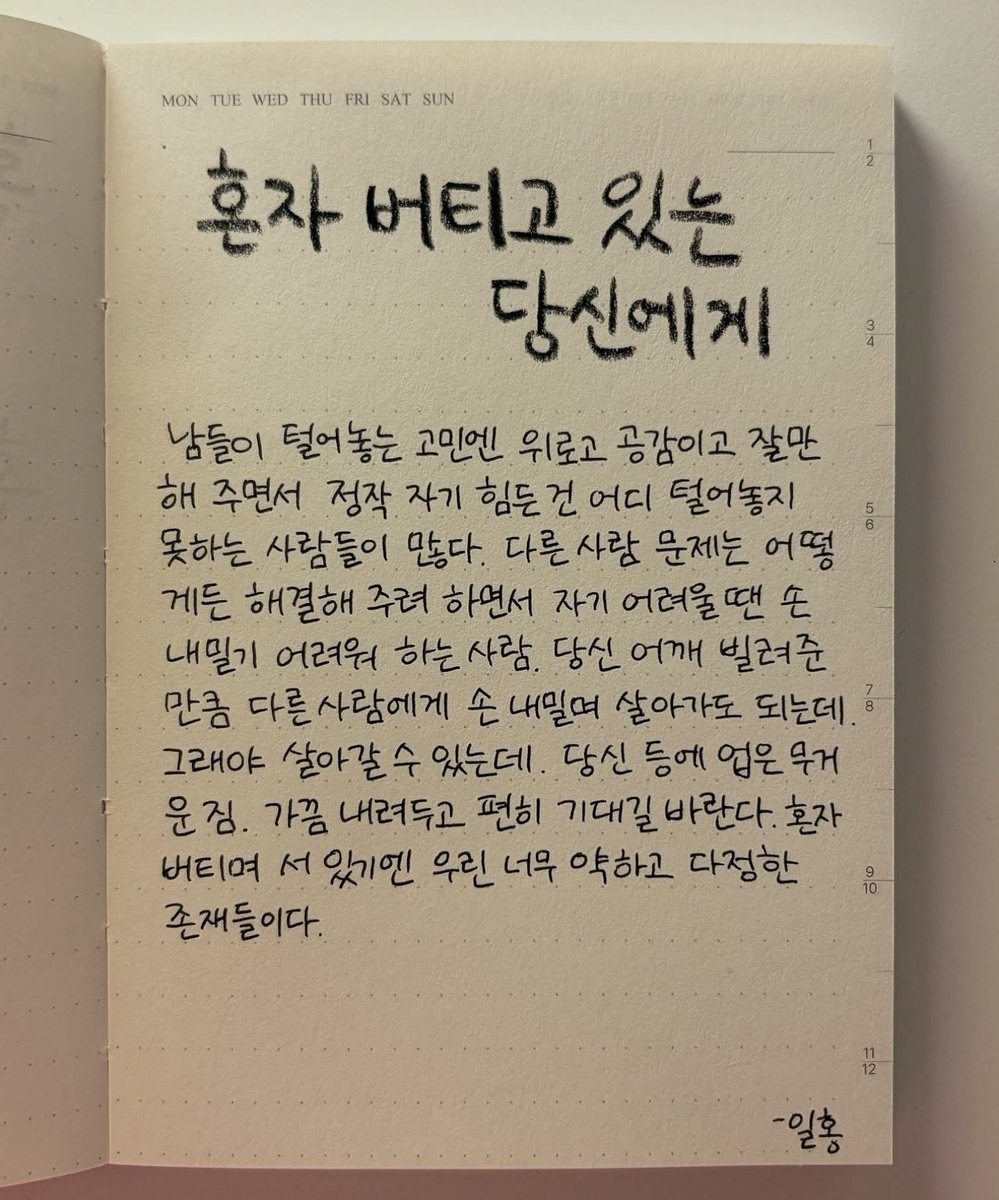 늘푸른소나무 tweet media