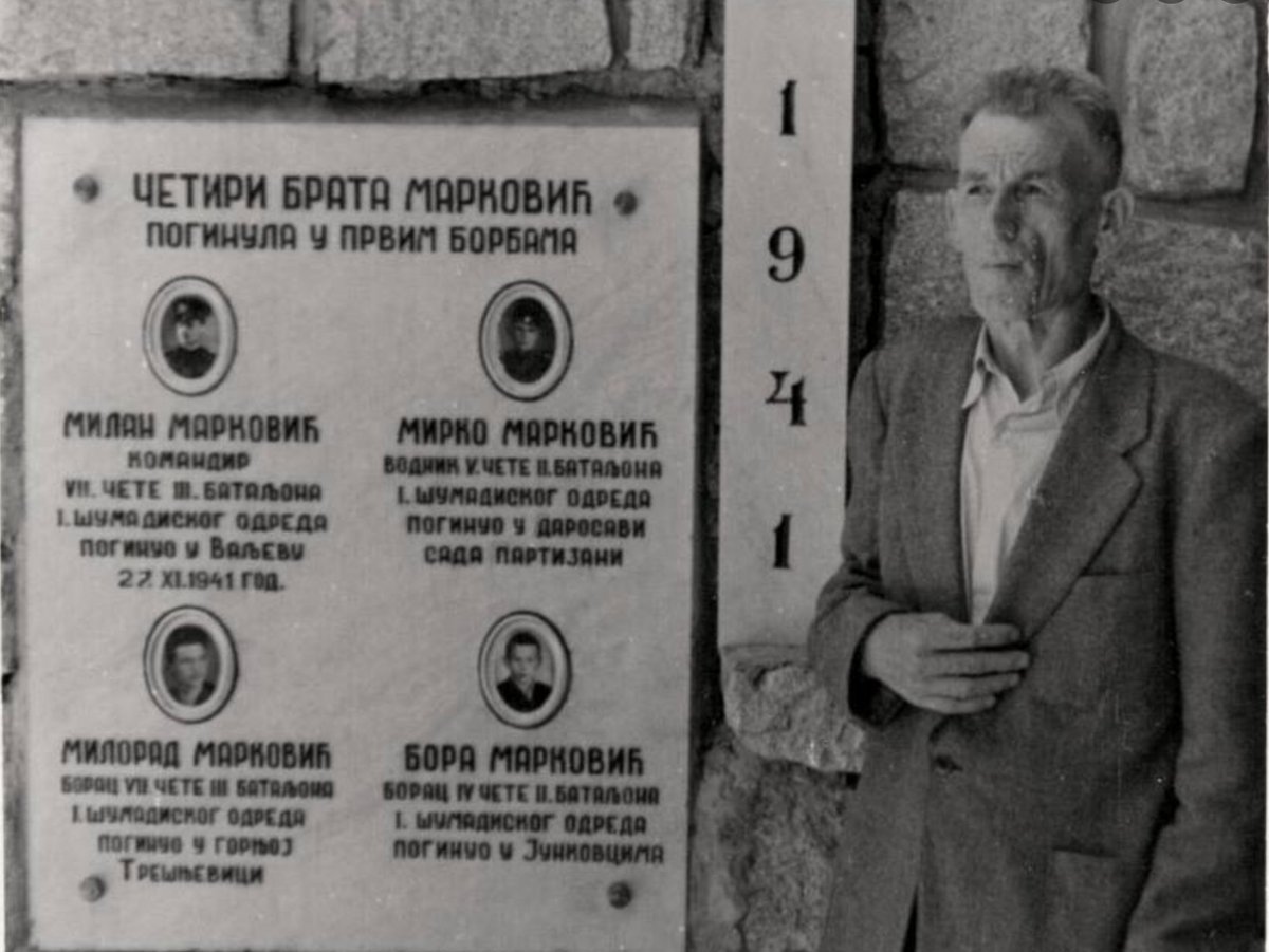 Golubica tweet media