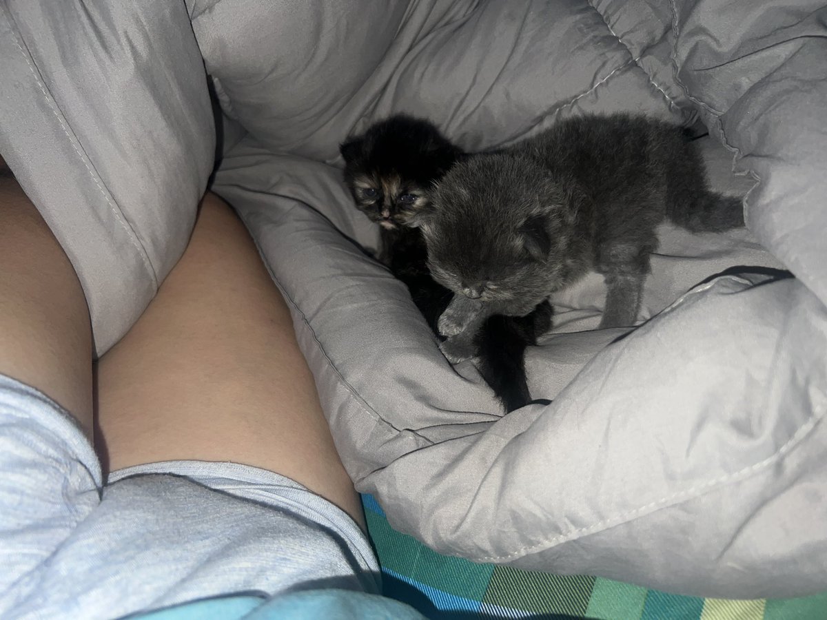 Artaxerxes 👉👈 tweet media