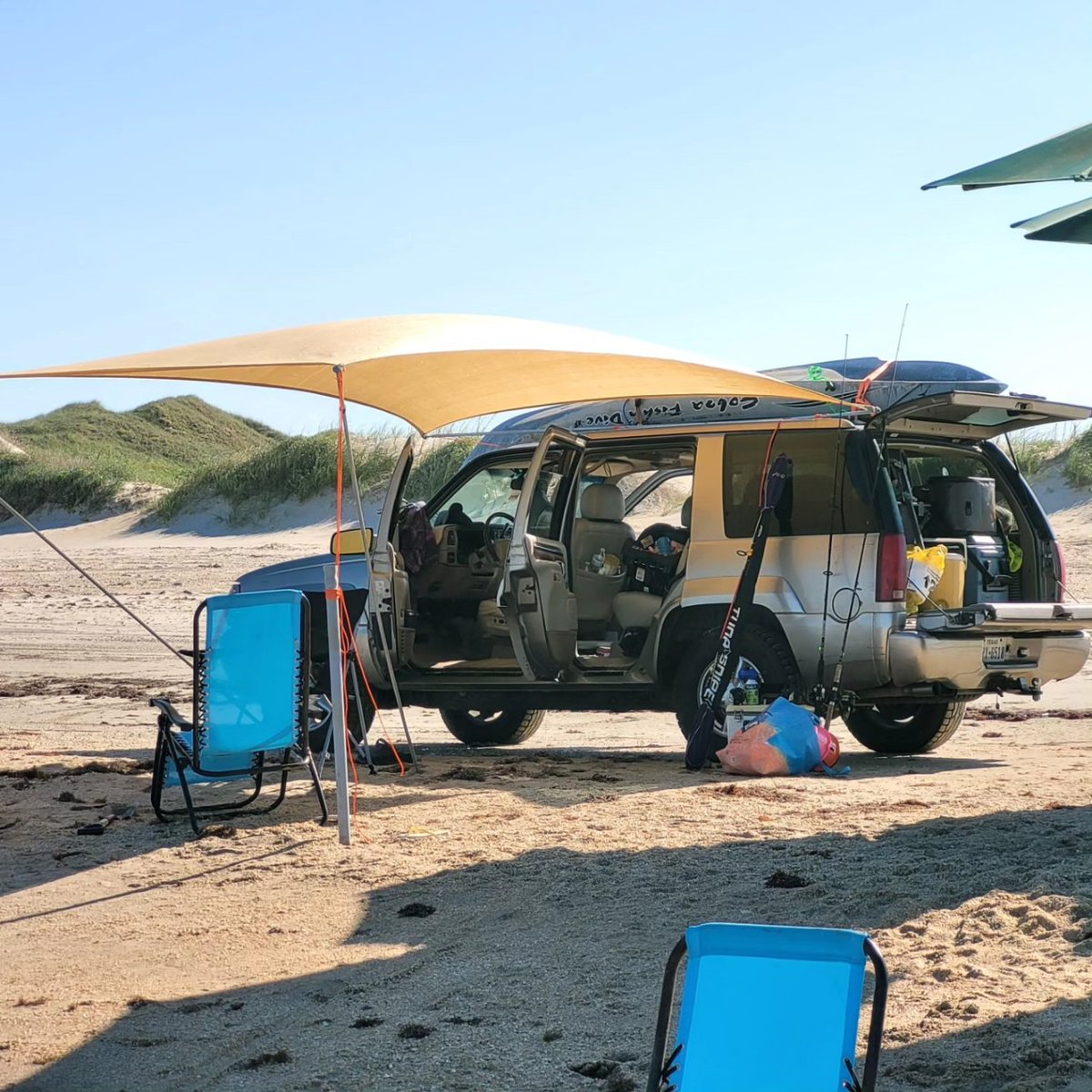 Kenneth Walton tweet media