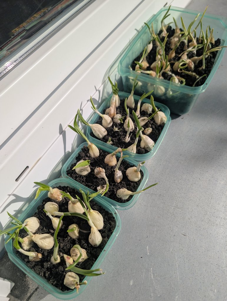 🍭Mario🐈 tweet media