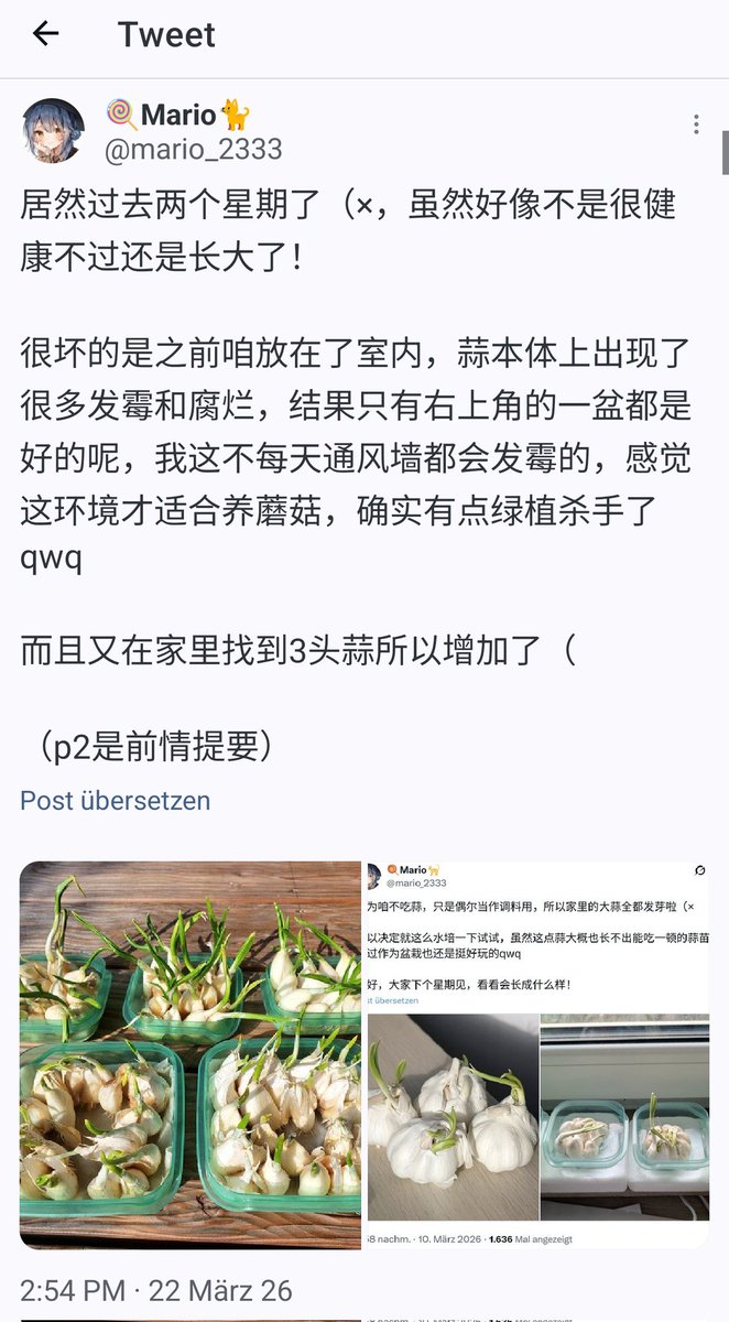 🍭Mario🐈 tweet media